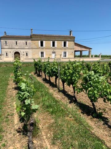 Gite Du Chateau La Rose Des Vents Villa Puisseguin Exterior photo